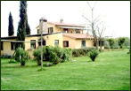 Nobile di Maremma - Vista generale