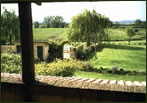 Nobile di Maremma - Veduta della piscina dalla terrazza