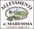 Nobile di Maremma - Allevamenti di Maremma